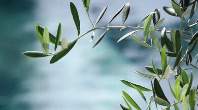 To najlepšie z tvorby Jasona Luva