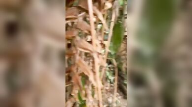 KeylinVIP Has Sex With Her Boyfriend In The Woods