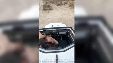Ashley Aoky Goes For An Outdoor Car Quick Fuck