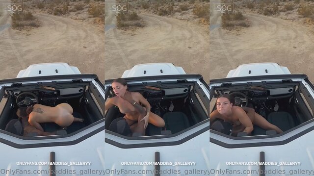 Ashley Aoky Goes For An Outdoor Car Quick Fuck