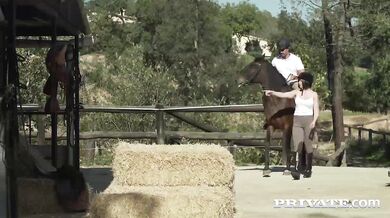 Žhavá jezdkyně na koni rajtuje na tvrdém hřebci