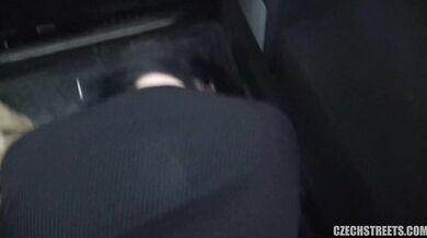 Prsatá BBW MILFka análně ošukaná v autě za prachy