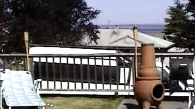 Carla Spreads Her Legs And Flashes Her Pussy While Sunbathing In The Yard