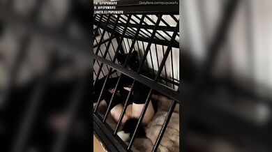 Kitty PupuWaifu Fucks In A Cage