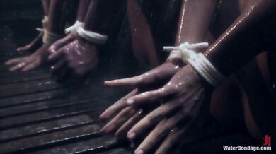 One dominant mistress and three submissive girls