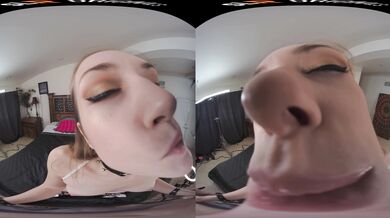 Hard Doggy Style Fuck In VR