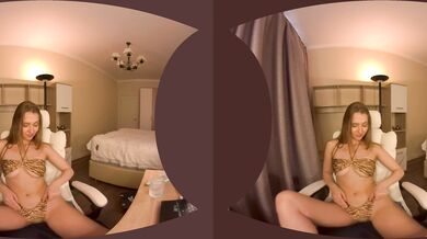 VR Webcam Video
