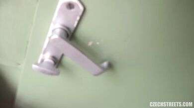 Sex With A Conductor In The Train's Toilet