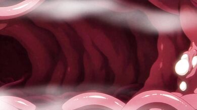 Frieren Hentai: Petite Elf Takes Bound Tentacle DP and X-Ray Creampie in the Den