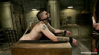 Mistress Bobbi Torments A Bound Slave With A Strap-On