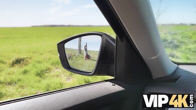 Busty Brunette Takes Rough Outdoor Anal From A Stranger In A Field