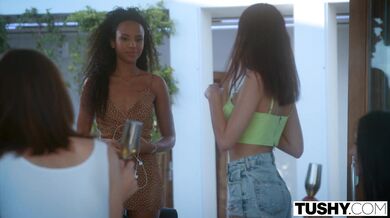 TUSHY - Anal-milující party dívka Romy touží po něčem víc