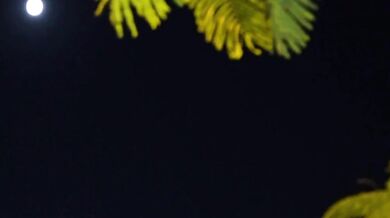 Sexy Asian policewoman rides a big cock