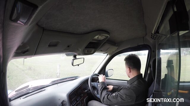 Sexo en un taxi con una chica de pelo negro Zuzu Sweet