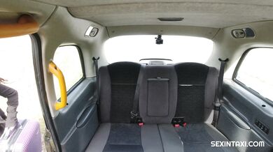 Poriadne šústanie s taxikárom