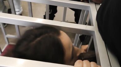 Ashley Adams interracial blowjob gangbang