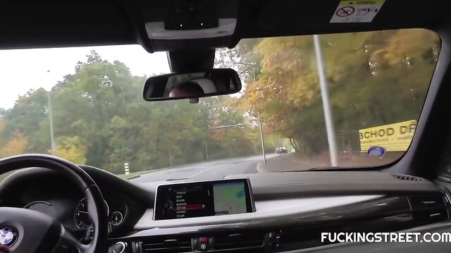 Blonde Czech hitchhiker fucked in the trunk of car