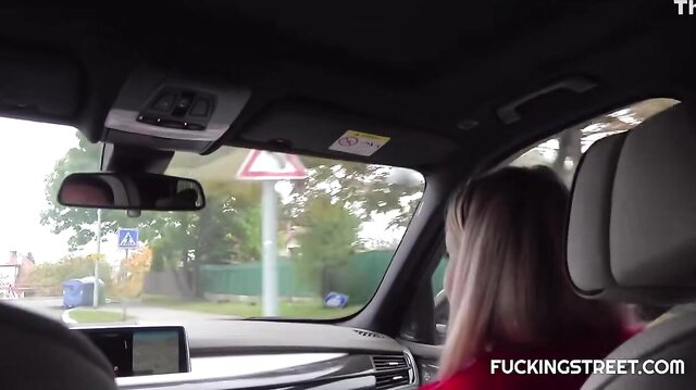 Autoestopista checa rubia follada en el maletero de un coche
