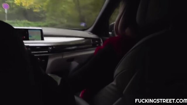 Blonde Czech hitchhiker fucked in the trunk of car