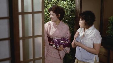 Película porno vintage japonesa