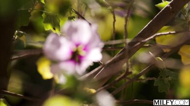 MILFY - A la MILF traviesa le encanta follar con hombres casados