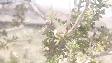 Molly Pills si dáva pauzu pri turistike