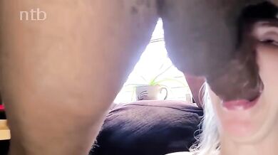 Obrovský vták v zadku Rebel Rhyder