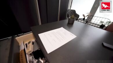 Lucy Cat ošukaná v kancelárii