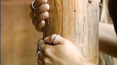 Follando retro en la granja