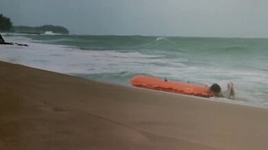 Więzień raju - 1980