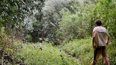 Więzień raju - 1980