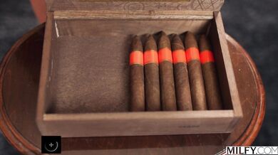 Sexy Blonde MILF Brooklyn Chase Gets Spit-Roasted By Two Young Studs