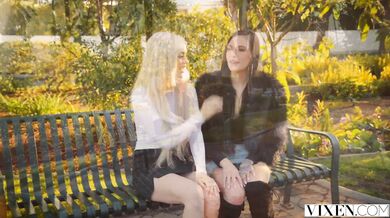 Kamošky sa spravodlivo podelili o susedov macek