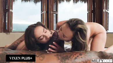 Druhý diel legendárnej kompilácie, kde skúsené MILFky učia mladých zajačikov, ako sa správne mrdá