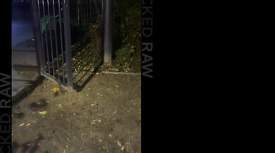 Blonde Besties Ashby Winter And Lily Blossom Go On The Prowl For BBC